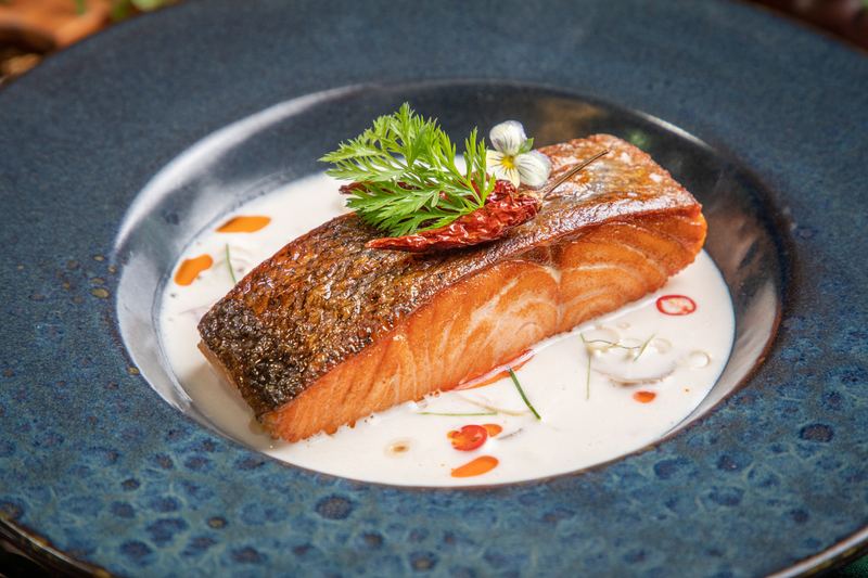 Lachsfilet in Kokossuppe